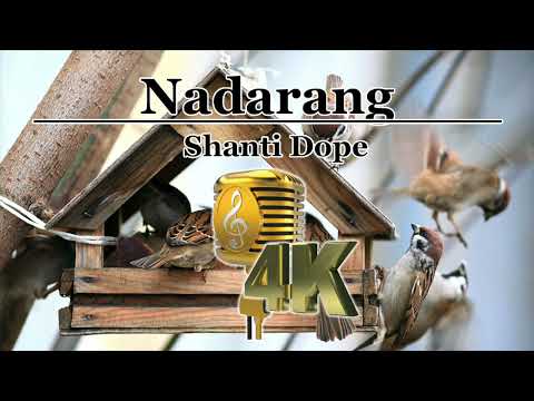 Nadarang - Shanti Dope Video Karaoke