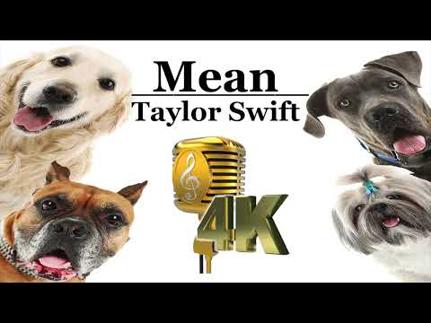 Mean - Taylor Swift Video Karaoke