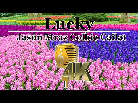 Lucky - Jason Mraz Colbie Cailat Video Karaoke